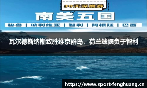 瓦尔德斯纳斯致胜维京群岛，荷兰遗憾负于智利