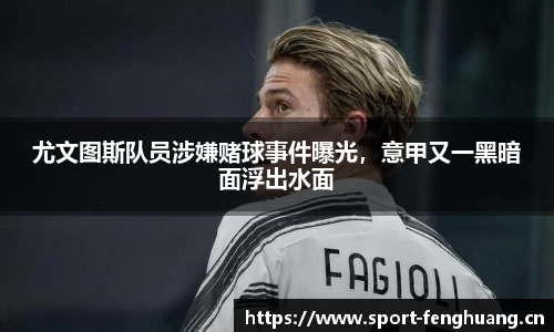 凤凰体育