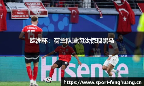 欧洲杯：荷兰队遭淘汰惊现黑马