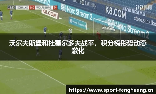 沃尔夫斯堡和杜塞尔多夫战平，积分榜形势动态激化