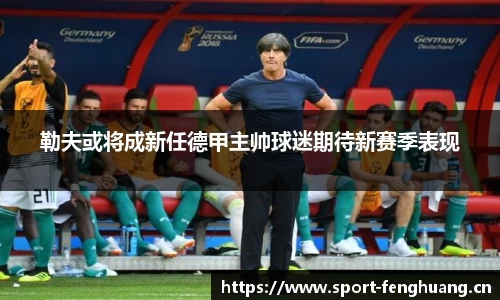 勒夫或将成新任德甲主帅球迷期待新赛季表现