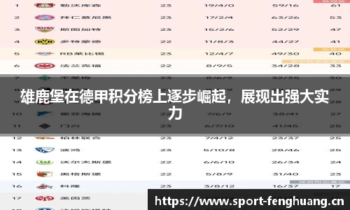雄鹿堡在德甲积分榜上逐步崛起，展现出强大实力
